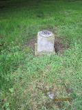 image of grave number 263510